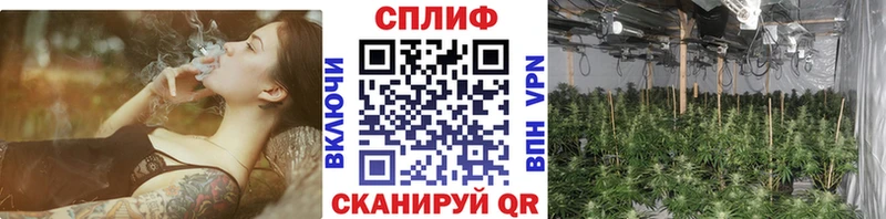 Канабис конопля  Нижний Ломов 